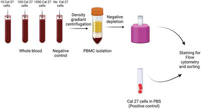 A FACS-based novel isolation technique identifies heterogeneous CTCs in oral squamous cell carcinoma